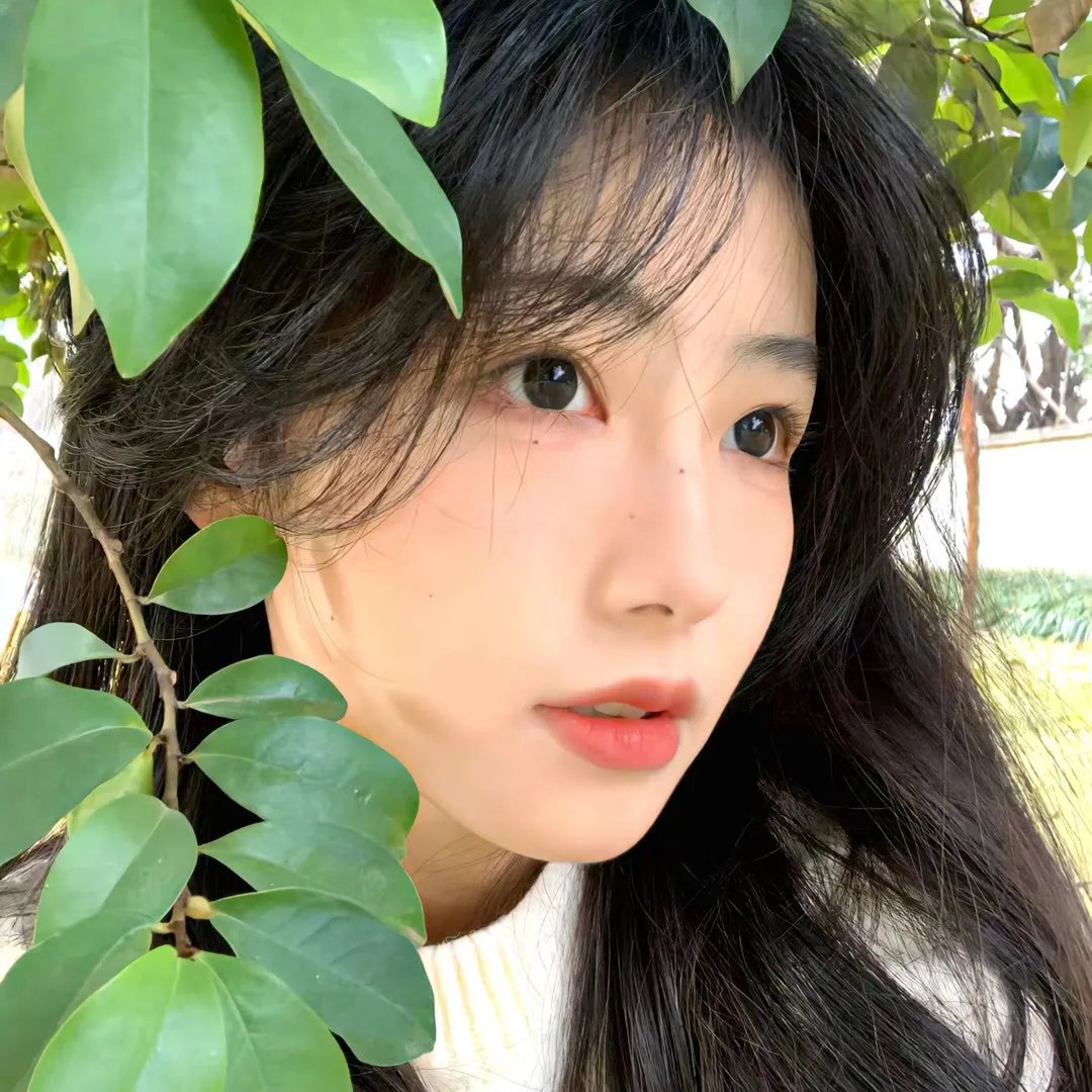 同途她是他